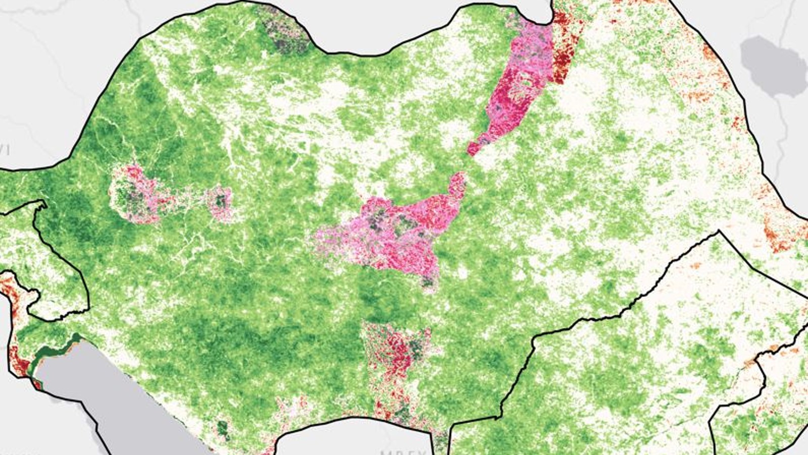 WCS Environmental Trends Analysis